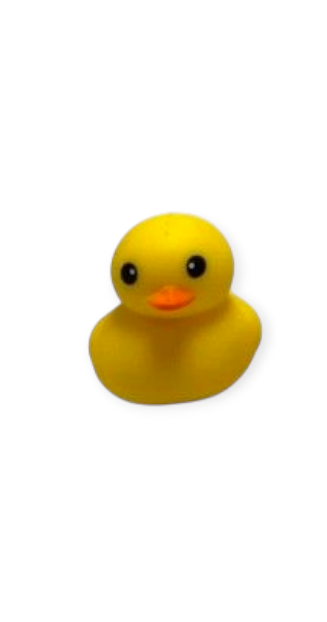 Foamy Quack Quack Squishy