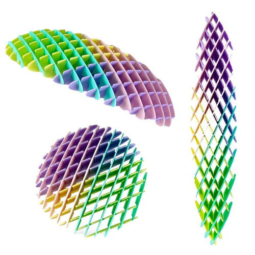 1 PC 3D Flexi Mesh Worm Fidget Toy