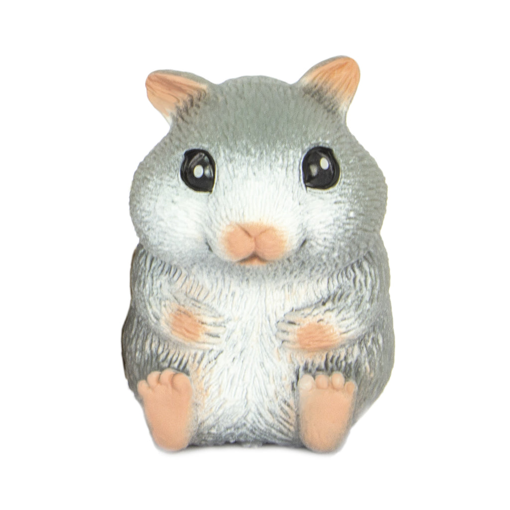 Cute Squidgy Hamster