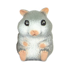 Cute Squidgy Hamster