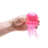NeeDoh Jelly Squish Coming Soon...