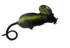 Grossest Stretchy Rat -Realistic Design