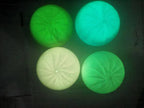 1 PC Glow In The Dark Mystery Dumpling Squishy