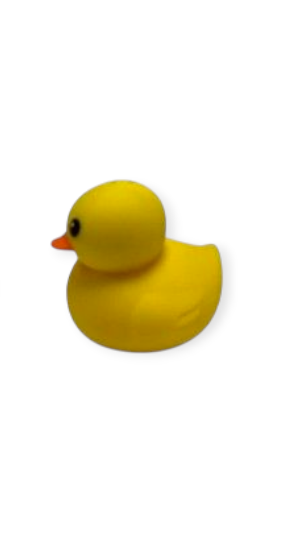 Foamy Quack Quack Squishy