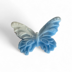 Butterfly Taba Squishy - For Stress Relief and calming play